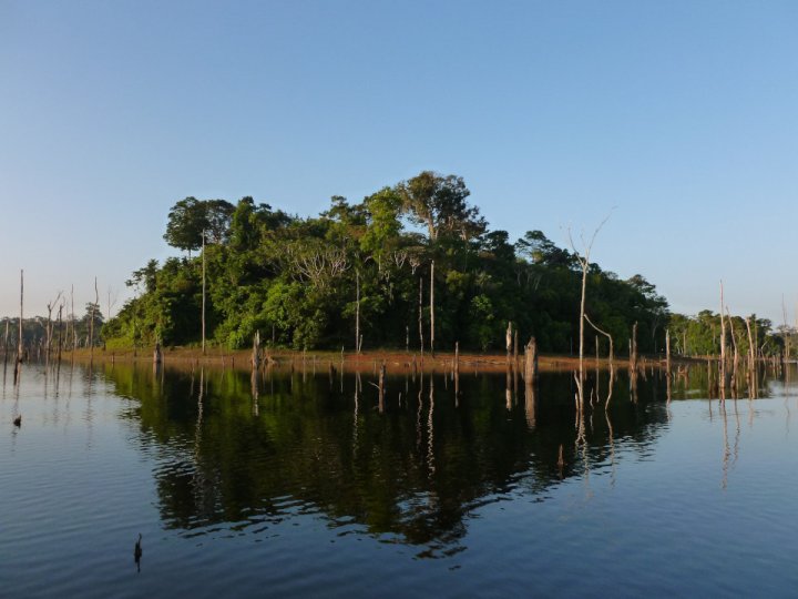 2.3 Amazonian forest island Anderson S. Bueno redim