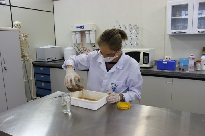 Etapas da metodologia do projeto 5