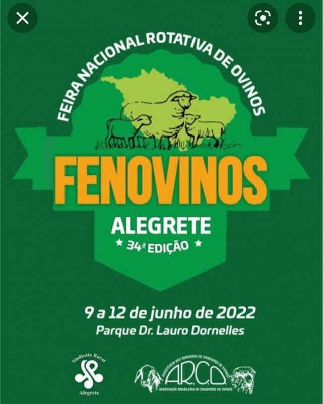 FENOVINO ALEGRETE.jpg