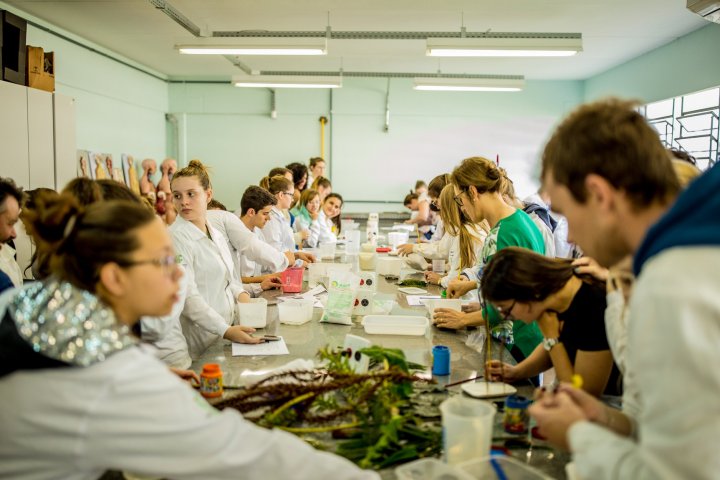 Oficina C Biológicas 3 Gabriel Brutti Oficina Botânica do Curso