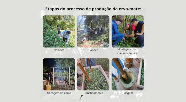 XIIcarijada notícia17062026e