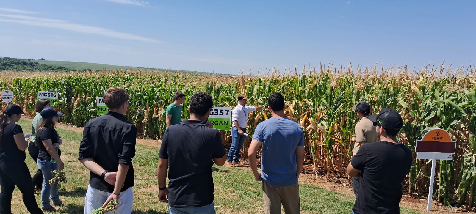 2. Visita Campo Experimental