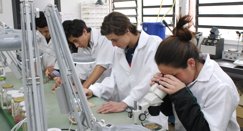 Chamadas notícias.png