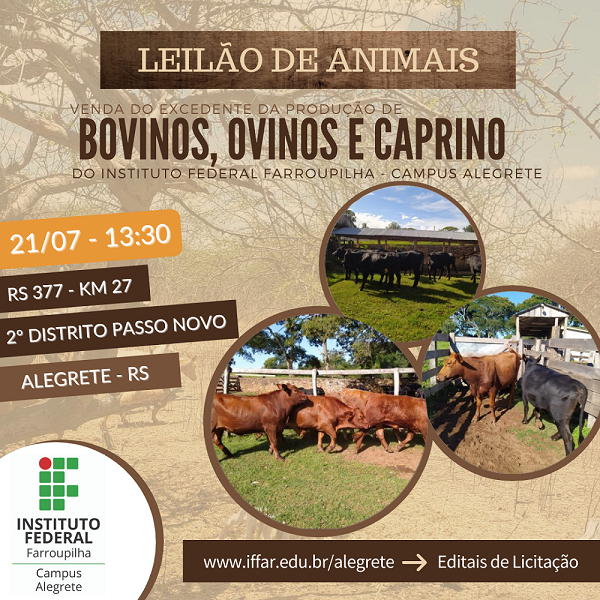 LEILÃO DE ANIMAIS.png