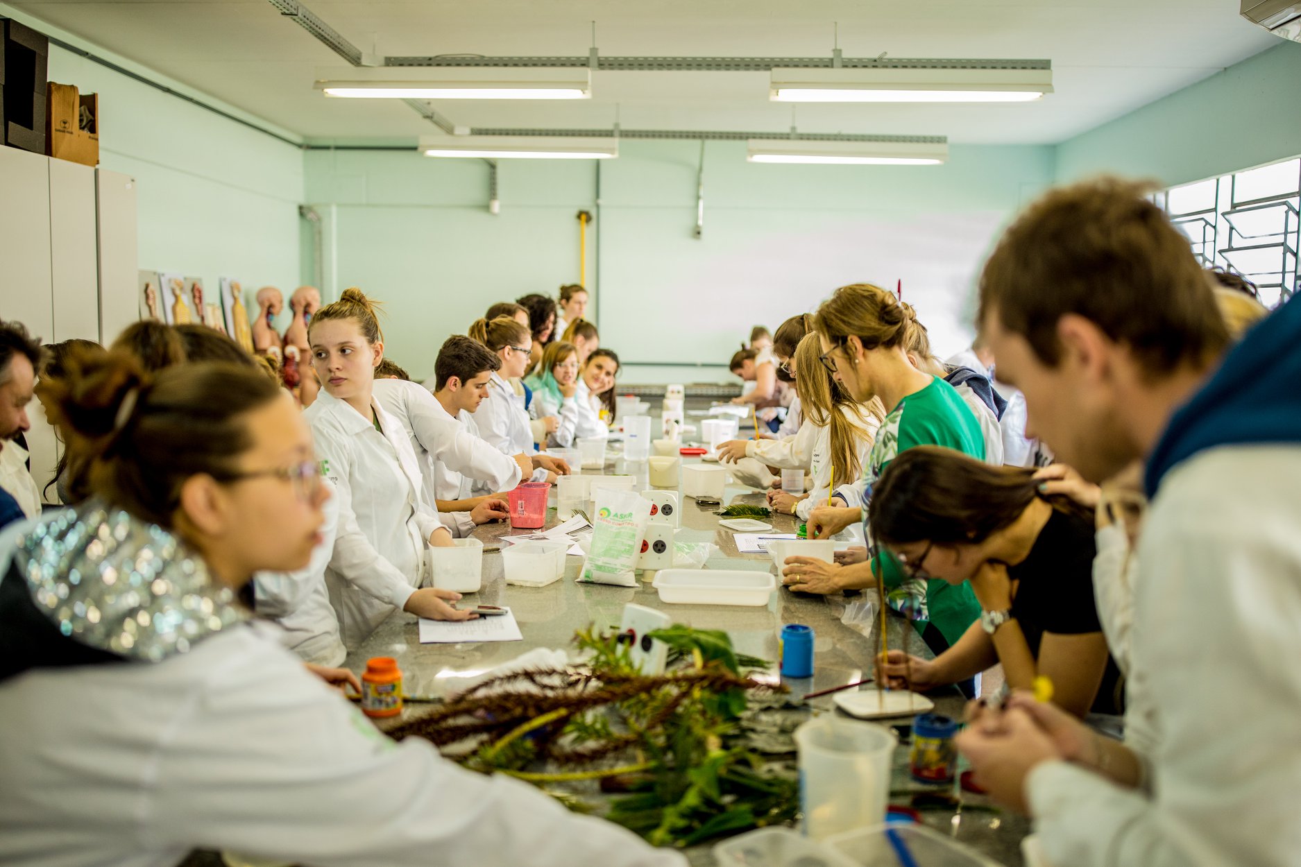 Oficina C Biológicas 3.jpg