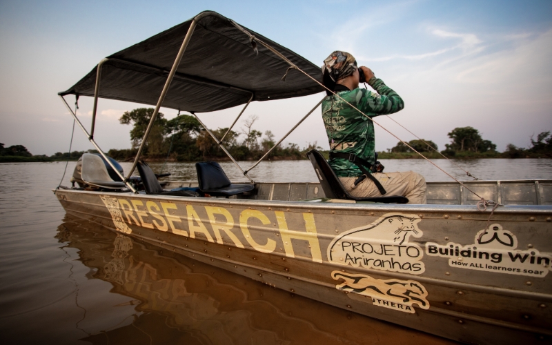 Sem nome 800 x 500 px 10