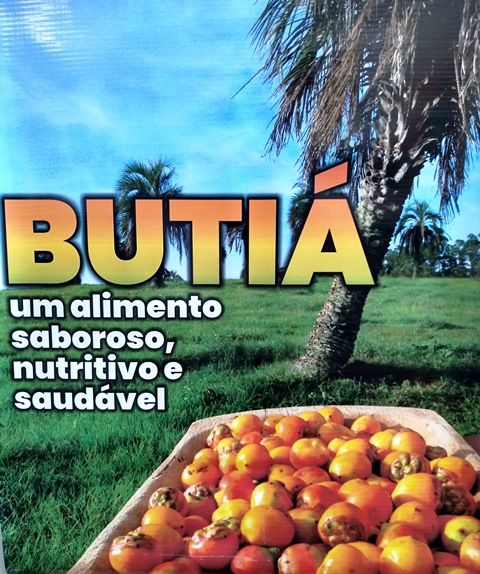 folder butiá.jpg