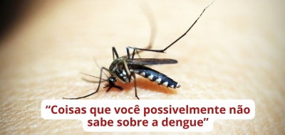 Coisas que você possivelmente não sabe sobre a dengue